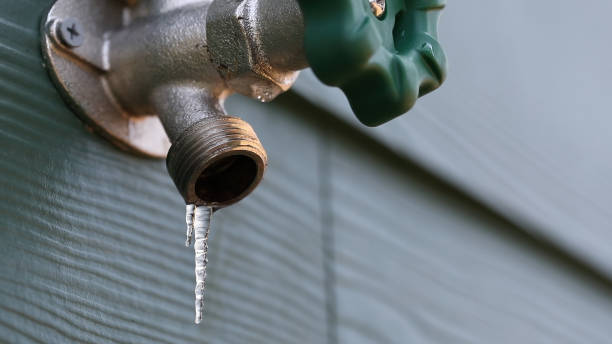 Best Local Plumber Services  in San Pablo, CA